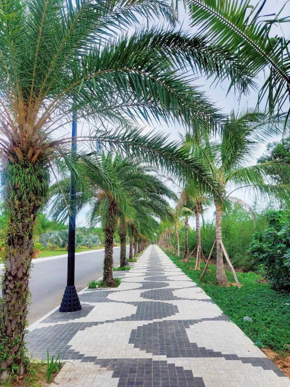 Sunrise Hotel Phu Quoc Eksteriør bilde